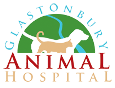 Glastonbury Animal Hospital